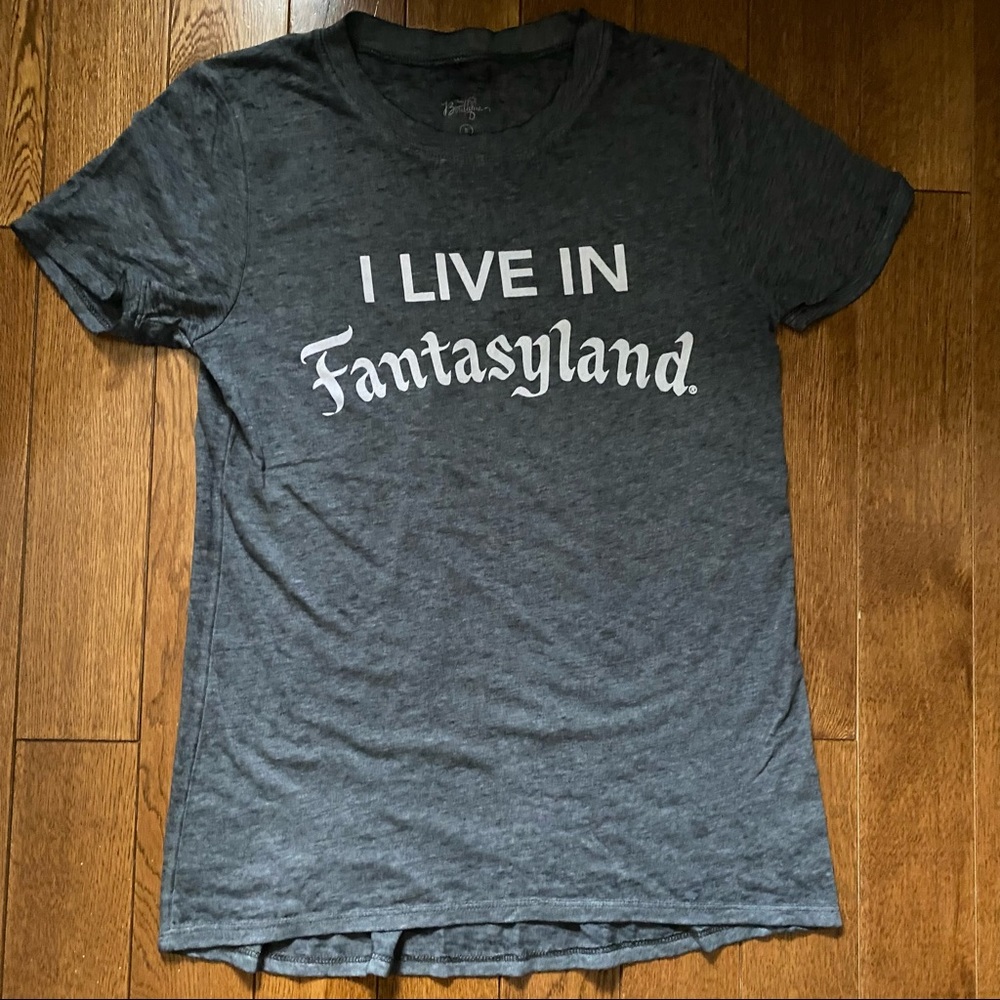 Disney Parks Fantasyland tee